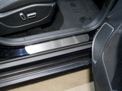 Накладки на пороги шлифованный лист 4 штуки ТСС для Geely Emgrand X7 2018-2021